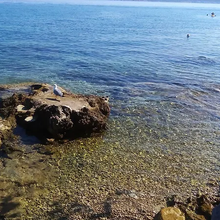 Marija