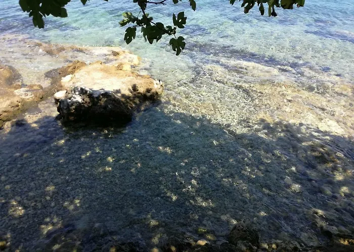 Lägenhet Marija Ždrelac