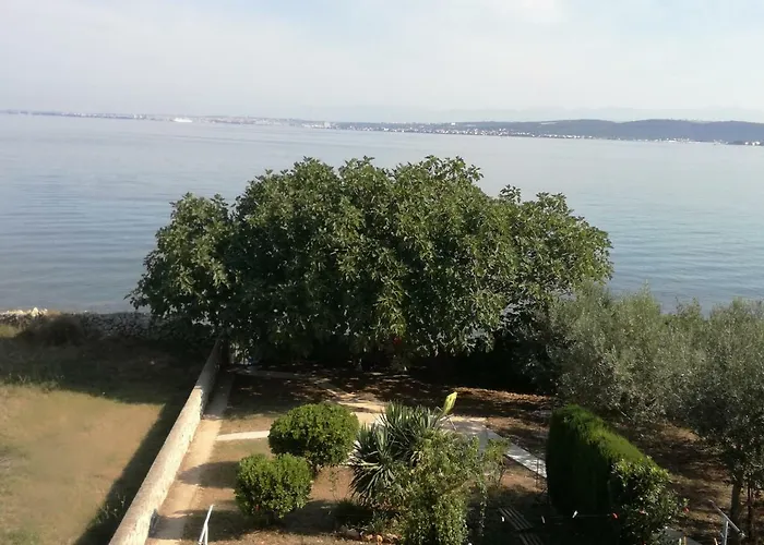 Апартаменты Marija Ждрелац