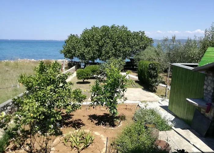 Marija * Ждрелац